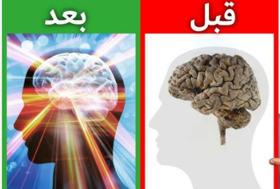 A New Study Reveals the Impact of Fasting on the Brain  