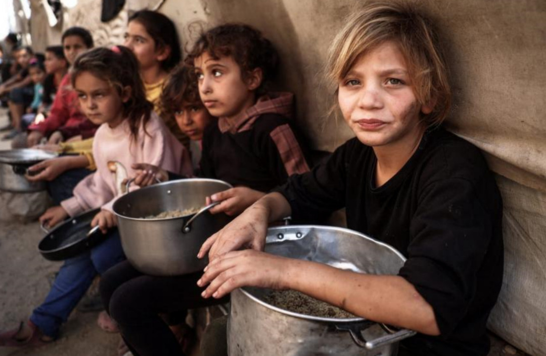 Ceasefire is an Urgent Humanitarian Necessity in Gaza