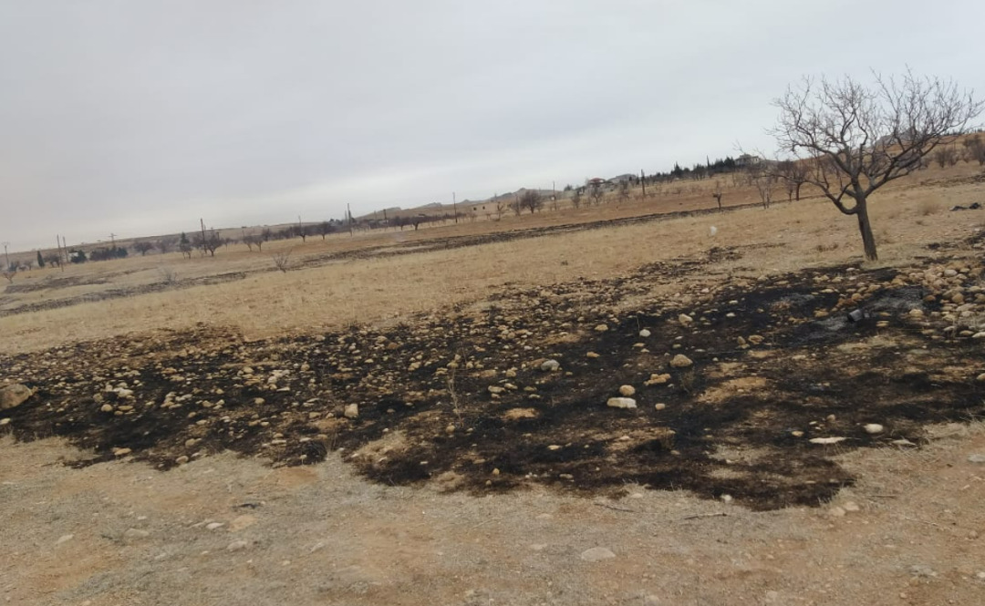 أرض بلا ظل: تفاح القلمون وزيتون إدلب ضحايا قطع الأشجار وبيعها حطباً