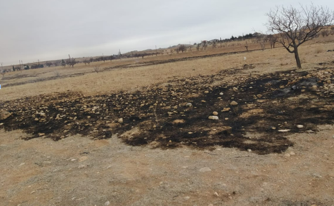 أرض بلا ظل.. تفاح القلمون وزيتون إدلب ضحايا قطع الأشجار وبيعها حطباً