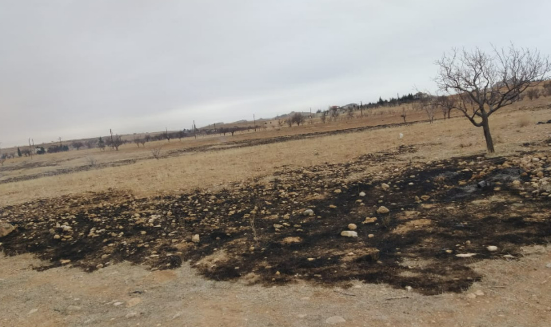 أرض بلا ظل... تفاح القلمون وزيتون إدلب ضحايا قطع الأشجار وبيعها حطباً