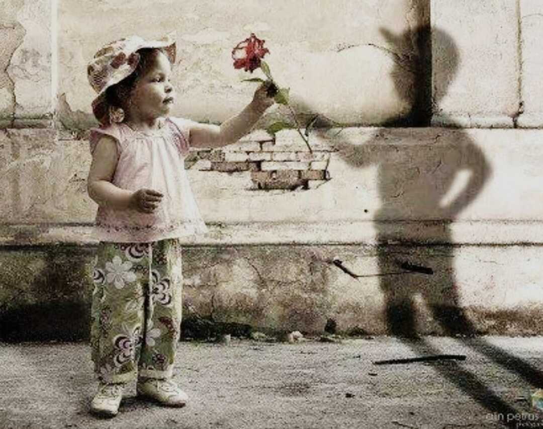 صـــدى الكلمـــات.. فلنعشــى الحيـــاة بعمـــق