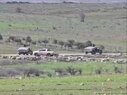قوة إسرائيلية تتوغل بأكثر من 50 عنصراً في قرية طرنجة بالقنيطرة